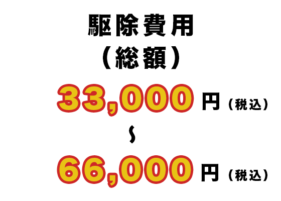 駆除費用(総額) 33,000円 ~ 66,000円